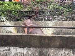 -合肥野生动物园
