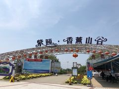 -紫颐香薰山谷景区