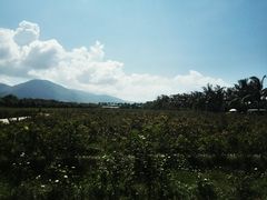 -亚龙湾国际玫瑰谷