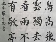 -阿妮亚少儿美术书法(望京店)
