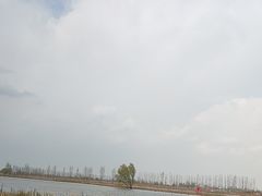 -白洋淀景区