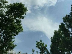 -沂蒙云瀑洞天景区