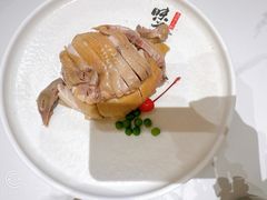 -梅利汴京烤鸭•开封豫菜地标店(东司门店)