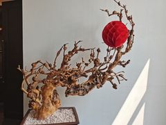 -梅花香里大酒店(郁金香路店)