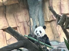 -泉州海丝野生动物世界