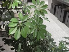 -陈熹公民族美食文化餐厅(中华广场店)