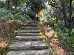 -黄埔油麻山森林公园