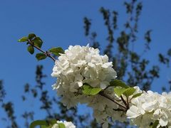 -白塘生态植物园