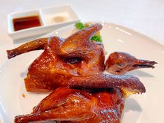 烤乳鸽-金悦轩海鲜酒家(拱北店)