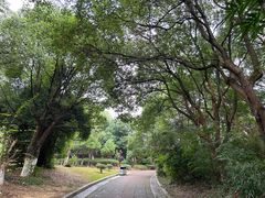 -八大山人梅湖景区