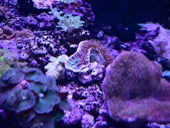 -石家庄极地海洋世界