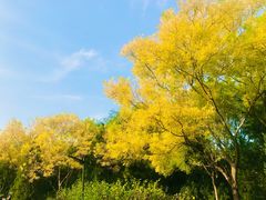 -北坞公园