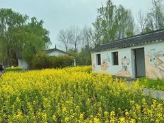 -溱湖国家湿地公园