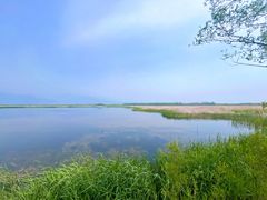 -野鸭湖国家湿地公园