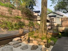 -青竺·青竹茶舍(断桥店)