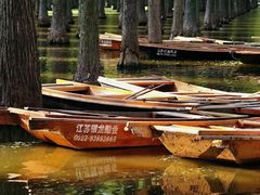 -渌洋湖湿地公园