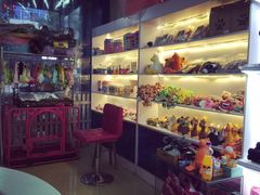 -小呆的宠物店·宠物售卖·宠物寄养(城西店)