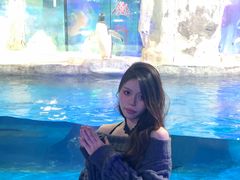 -台州海洋世界