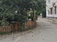 -马陆小张葡萄园农家乐