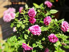 -豆蔻电影主题餐厅(四牌楼店)