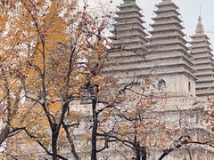 -北京石刻艺术博物馆(五塔寺)