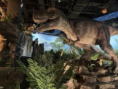 -陕西自然博物馆