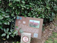 -梁鸿国家湿地公园
