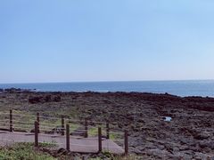 -涉地可支