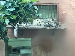 -青藏高原野生动物园