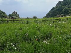 -白草畔自然风景区