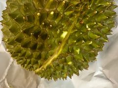 金枕头树上熟榴莲-叶氏兄弟果业(大连鲁迅店)