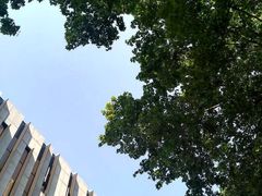 -江苏省美术馆(长江路新馆)