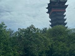 -塔子山公园