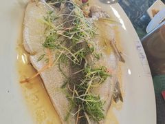 清蒸和顺鱼-西江河鲜·趣苑酒楼(鼎湖店)
