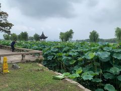 -石湖景区