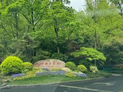 -浙江西子宾馆·瑶园咖啡厅