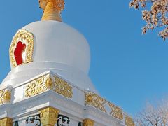 -护国法轮寺
