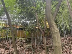 -灵顺寺