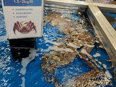 -盒马X会员店(上海森兰商都店)