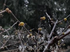 -颐和园