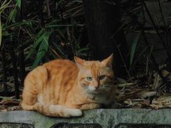-晓港公园