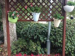 -昆山城市生态森林公园