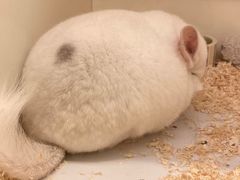 -龙猫仔乐园(惠福东路店)