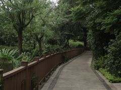 -晓港公园