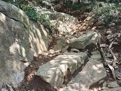 -虞山城墙