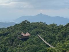 -三亚亚龙湾人间天堂鸟巢度假村