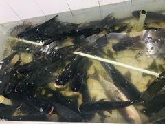 -官厅老勾渔馆(温泉店)