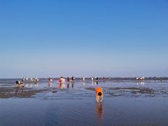 -南汇嘴观海公园