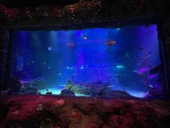 -沈阳海洋探索中心