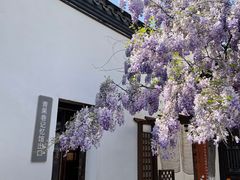 -青果巷历史文化街区